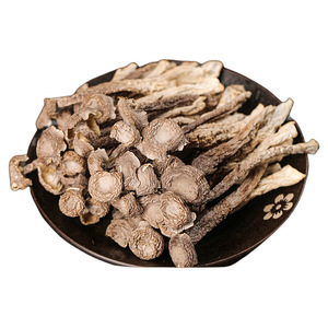 鹿茸菇干货批发香菇鹿茸菌脆脆菇鹿耳菇煲汤精品炖汤新货无硫精选