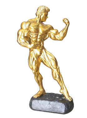 创定制意奖杯健美比赛纪念奖杯