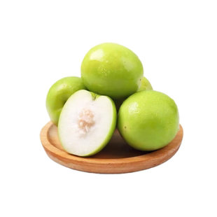 大青枣树苗台湾牛奶大青枣果苗蜜丝枣嫁接果树苗当年结果南北方种