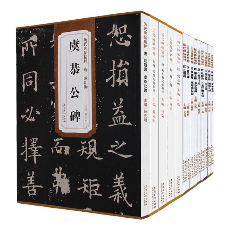 全14册新版历代碑帖精粹唐柳公权玄秘塔碑柳体欧阳询汉乙瑛碑汉曹全碑唐集王羲之圣教序唐颜真卿颜勤礼碑成人楷书初学者入门临摹书