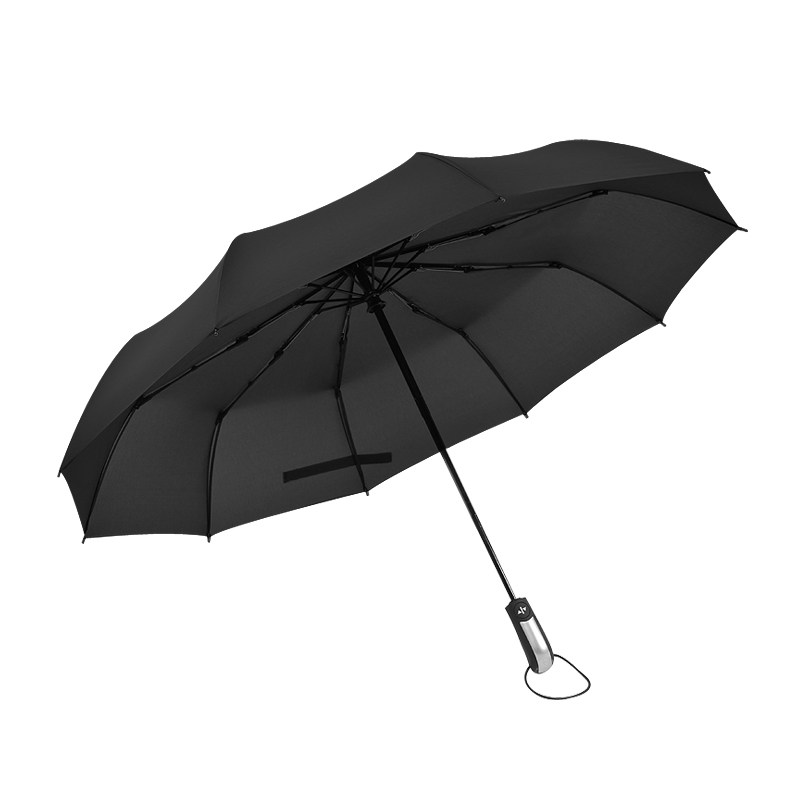 十骨全自动商务两用加固防风雨伞