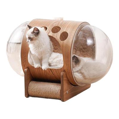 网红太空舱猫窝透明四季通用