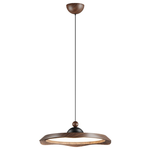 AOPLE飞碟餐厅吊灯 新款中古复古餐桌灯创意圆形摇臂可移位飞盘灯