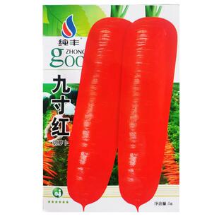 九寸王胡萝卜种子水果红萝卜生吃脆甜春秋季四季高产农家蔬菜种籽