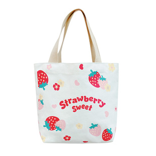 手提袋子女帆布包包带饭盒便当外出时尚布袋上班族小拎包2025新款