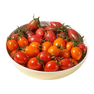 迷彩圣女果小番茄脆蜜千禧西红柿紫弹头紫葡萄铁皮番茄新鲜自然熟