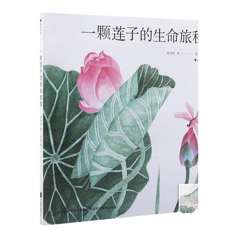 爱和乐一颗莲子的生命旅程