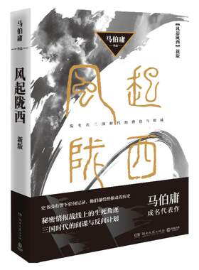 陈坤白宇主演风起陇西
