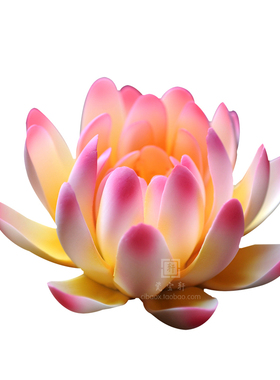 会所禅意风供奉睡莲家居装饰定制