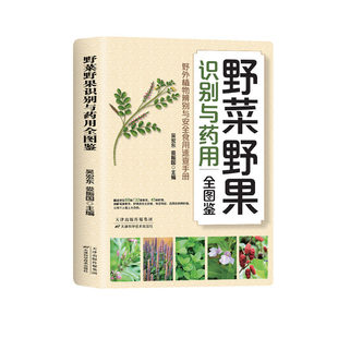 野菜野果识别与药用全图鉴正版书籍野外植物辨别与安全食用速查手册户外生存手册图鉴遇险自救自我防卫野外生存大全集畅销书排行榜