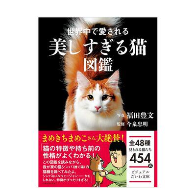 世界中で愛される美し日文原版书