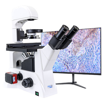 细菌活体相衬透明观察生物显微镜