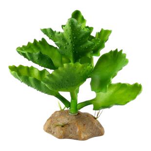 宠物蜥蜴仿真植物装饰摆件生态绿植爬虫饲养箱陆龟守宫爬宠箱造景