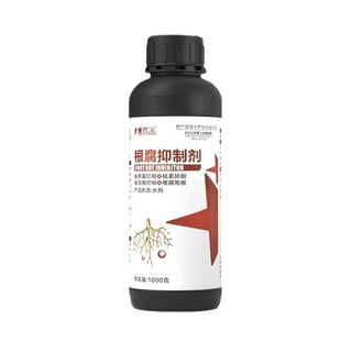 根腐烂根软腐农作物专用根腐抑制剂苗期死棵僵苗青枯立枯促生新根
