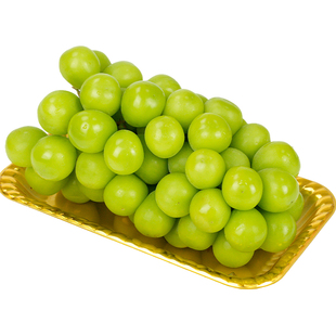 一次性高级金色黑底水果托盘果切塑料盒水果生鲜柚子车厘子打包盒