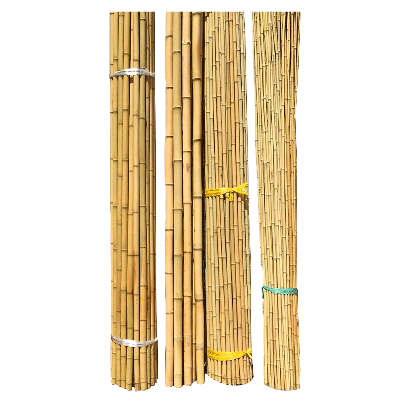 竹竿棍菜园搭架防腐粗细竹子杆蔬菜架菜园架爬藤黄瓜豆角瘦竹竿
