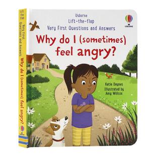 Usborne问与答翻翻书为什么我有时候会生气英文原版绘本Why do I sometimes feel angry幼儿童启蒙科普早教认知情绪管理纸板书