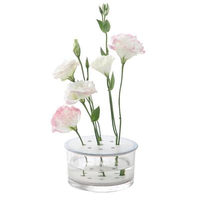 ins风玻璃花瓶2021器皿复古水培