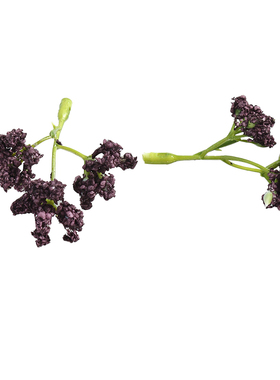 婚庆植物墙装饰插花微观造景绿植
