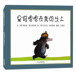 邓超推荐 是谁嗯嗯在我头上国际获奖儿童硬壳绘本3一6岁 幼儿园绘本阅读4-5儿童书籍2岁宝宝绘本经典必读两三岁半故事书0到3岁读物