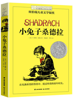 小兔子桑德拉 长青藤国际大奖小说书系纽伯瑞儿童文学金奖 8-10-12岁小学生青少年初中四五六七年级老师推荐课外推荐经典书目读物