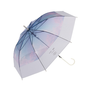 wpc雨伞透明长柄伞女生高颜值手动加大加厚加固地球屋联名果冻伞