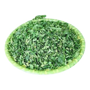 糯米香茶可食用多年生香草植物盆栽克拉香草糯米芳香泡水煮茶