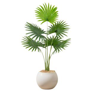 仿真绿植加州蒲葵高端轻奢室内装饰电视柜旁边大型仿生盆栽假植物