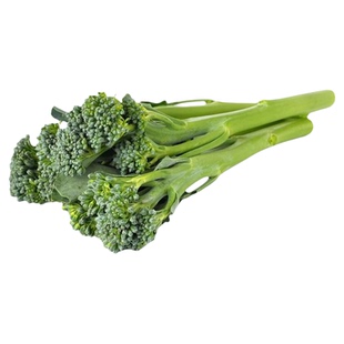 耐寒西兰苔菜苗秧苗种子籽春秋播种高产蔬菜种苗四季盆栽多次采收