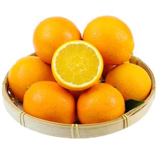 正宗纯甜纽荷尔脐橙子新鲜水果秭归脐橙伦晚橙5/9斤当季大果爆汁