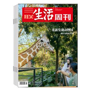 三联生活周刊 杂志 2026年10月起订阅 1年共52期 新闻热点 时事评论 政治经济 文化生活 新闻社会 杂志书籍
