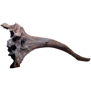 沉木紫柚木鱼缸树桩形鱼虾躲避乌龟晒台南美造景水草拱桥树根根雕
