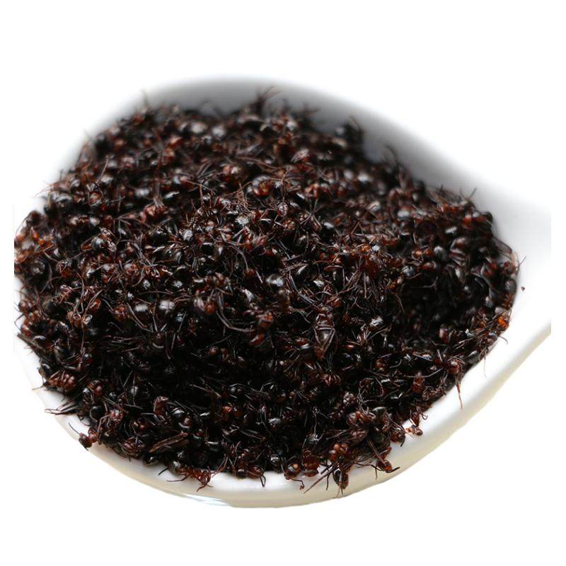 东北长白山黑蚂蚁泡酒500g蚁酸充足大山蚂蚁非拟黑多刺蚁干