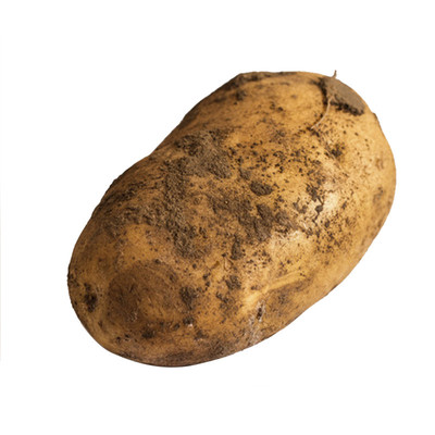 山东蔬菜农家种春季土豆大号地蛋