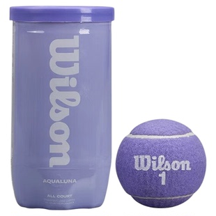 Wilson威尔胜2025款彩色马卡龙配色网球初学训练用球专业比赛网球