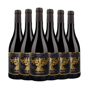 格鲁吉亚原瓶进口红酒老藤萨别拉维微醺干红葡萄酒年货送礼6支装