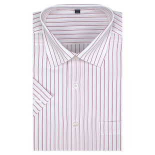 全棉粉红条纹短袖衬衫男 中年纯棉碎花男士商务休闲半袖衬衣