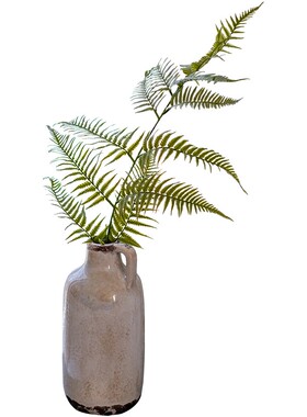 仿真蕨类植物插花造景装饰摆件