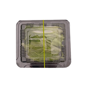 北京烤鸭葱丝盒板鸭酱料包盒子小透明盒葱丝包装盒超市用水果盒