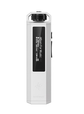 飞傲雪漫天ECHONANOMP3播放器