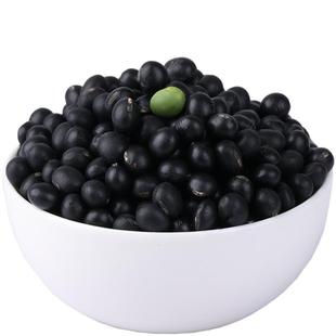 呆呆菇娘 绿芯黑豆2斤打豆浆专用粗粮煮粥绿芯大黑豆当季新货X