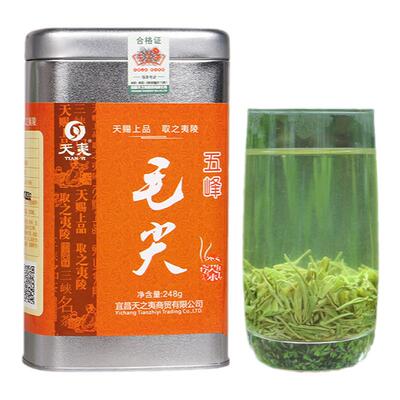厚实纯正绿茶五峰毛尖贡毫250g罐