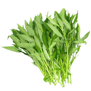 白梗柳叶空心菜四季苗带根种子蔬菜种孑适合冬天种的菜种阳台种籽