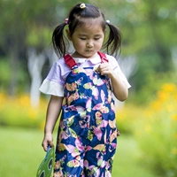 S69-тибетская лыса