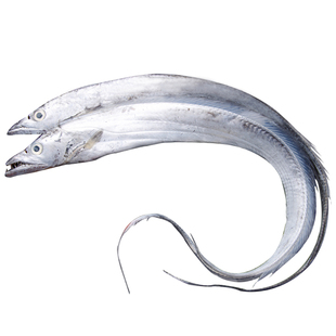 仙缘海鲜大银鲳鱼礼盒3.2kg（0.8-1斤/1条*8条）冷冻鱼南通特产