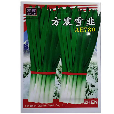 韭菜种子雪韭白根紫根蔬菜种籽
