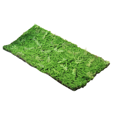 人工草坪塑料假苔藓创意绿植墙