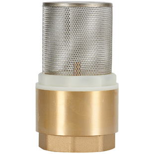 全铜加厚立式止回阀带过滤网单向25止逆水井20水泵4分6分1寸DN15