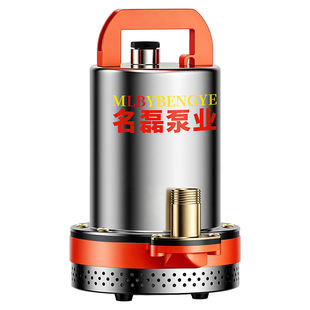 直流潜水泵48v60v72v电瓶车专用电动车抽水泵通用浇菜农用灌溉机