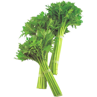 小叶茼蒿种子种籽菜种皇帝菜冬季